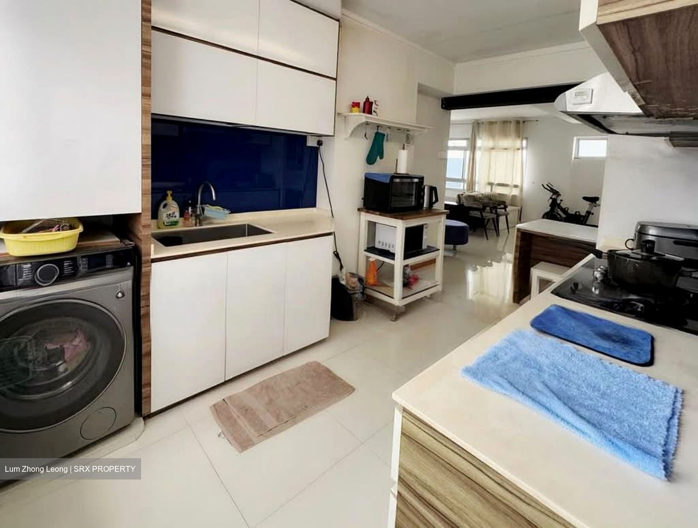 Blk 243 Pasir Ris Street 21 (Pasir Ris), HDB Executive #584536021